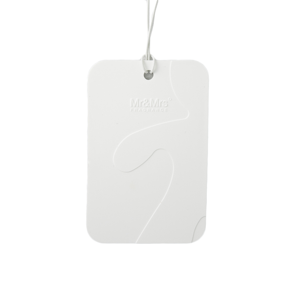 CESARE ODOR NEUTRALIZER SCENTED CARD NEW CAR